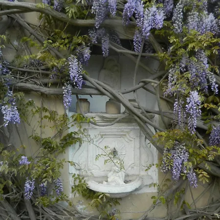 Angelo Custode * ペザロ