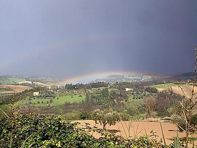 Angelo Custode פסארו