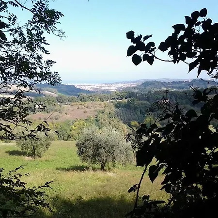 Angelo Custode * Pesaro