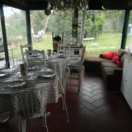 Angelo Custode פסארו