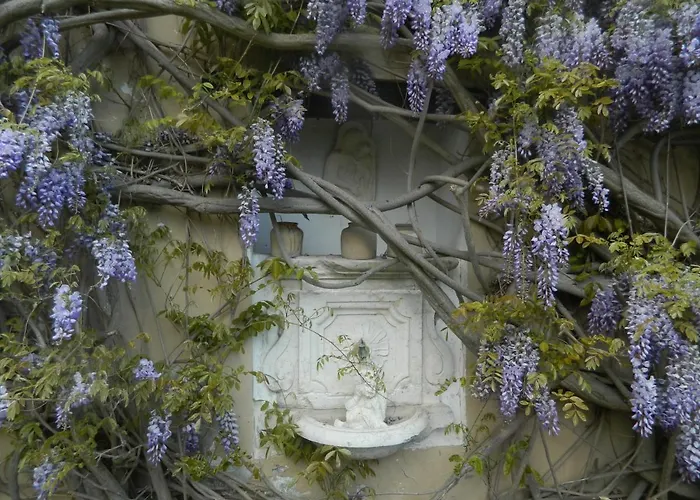 Angelo Custode * Pesaro