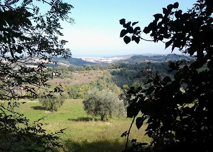 Angelo Custode * Pesaro